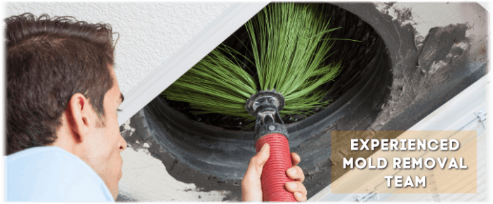Air Duct Mold Removal in Mesa