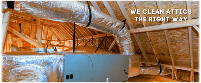 Attic Cleaning Mesa